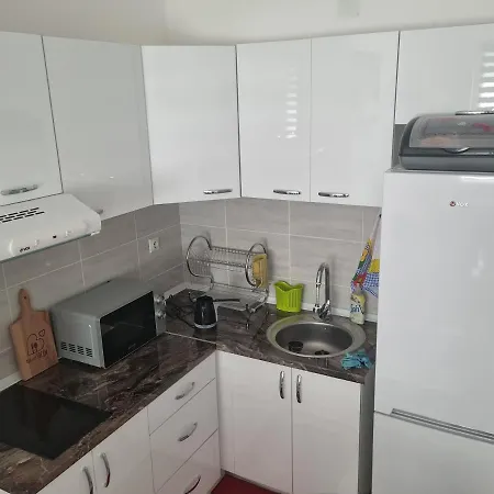 Milos Apartment Soko Banja